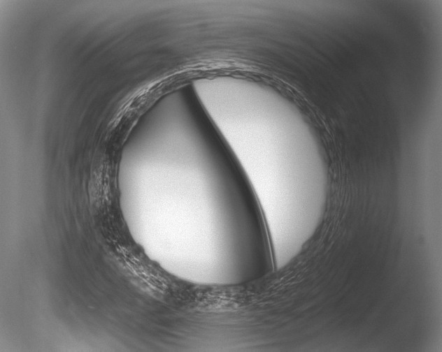 X0000086291016200703300856