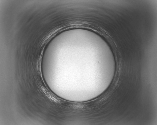 X0000086291017200703300856