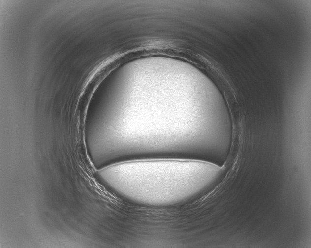 X0000086291021200703300856