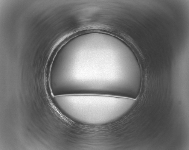 X0000086291024200703300856