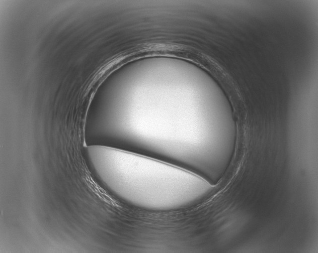 X0000086291025200703300856