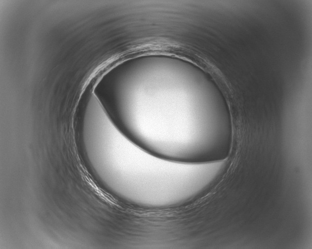 X0000086291026200703300856