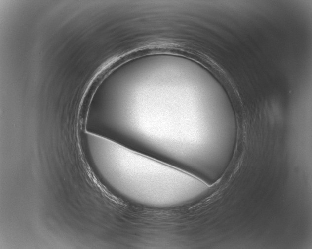 X0000086291029200703300856