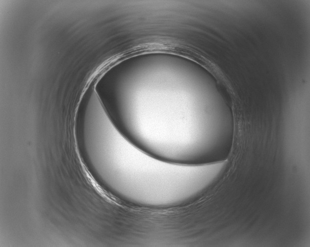 X0000086291034200703300856