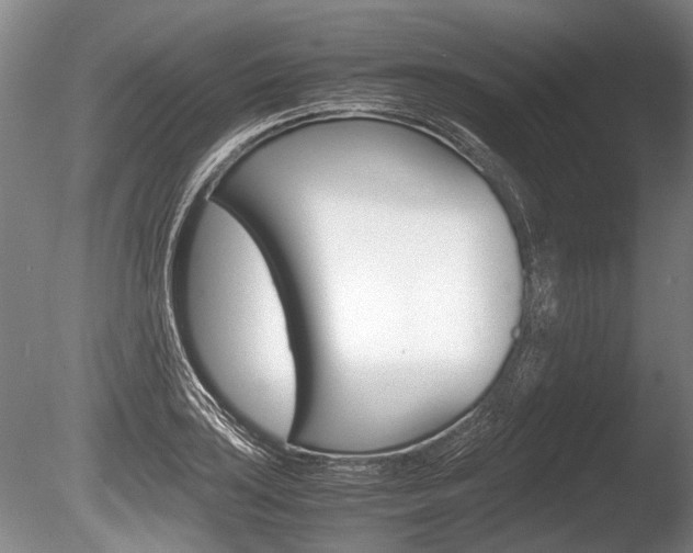X0000086291035200703300856