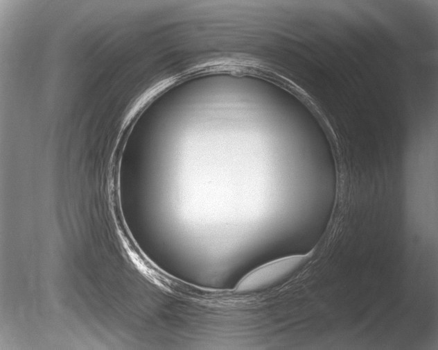 X0000086291042200703300856