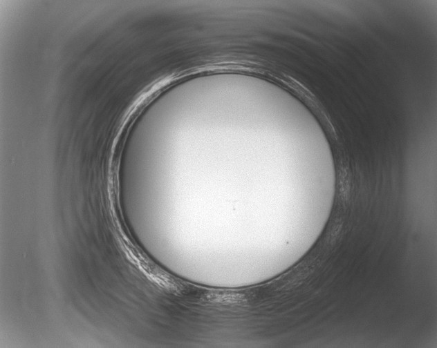X0000086291043200703300856