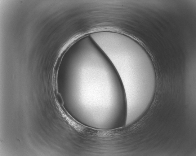 X0000086291046200703300856