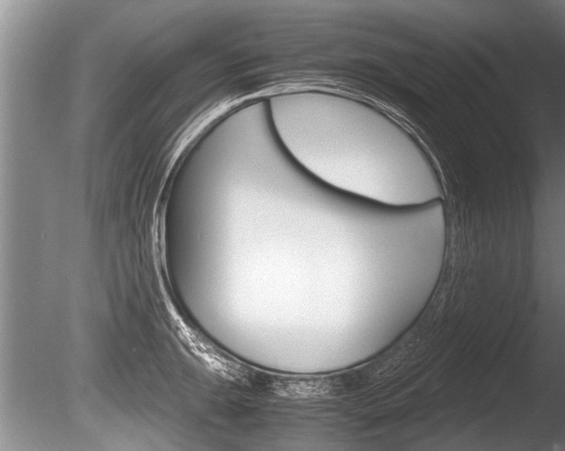 X0000086291047200703300856