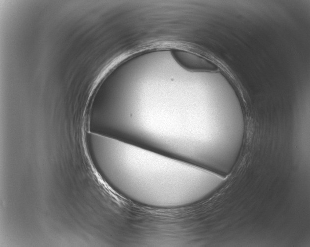 X0000086291048200703300856