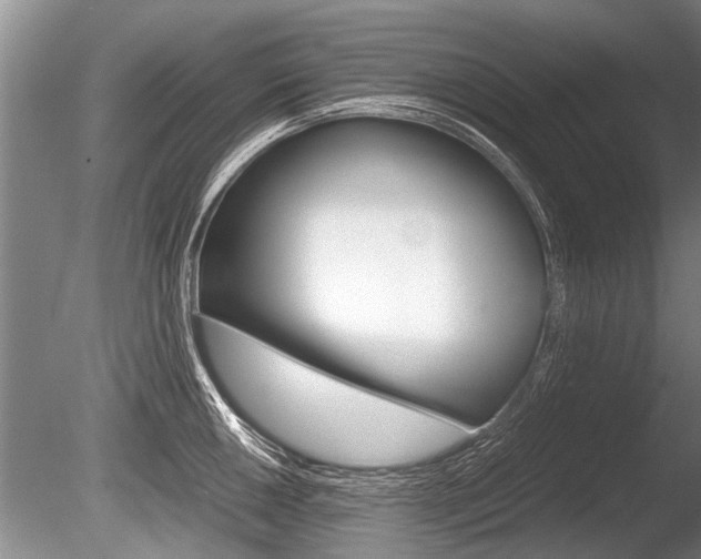 X0000086291050200703300856