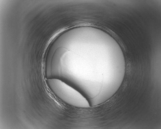 X0000086291051200703300857