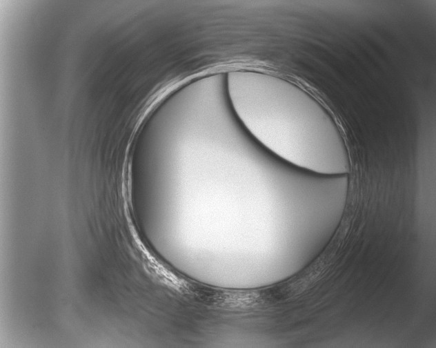 X0000086291055200703300857