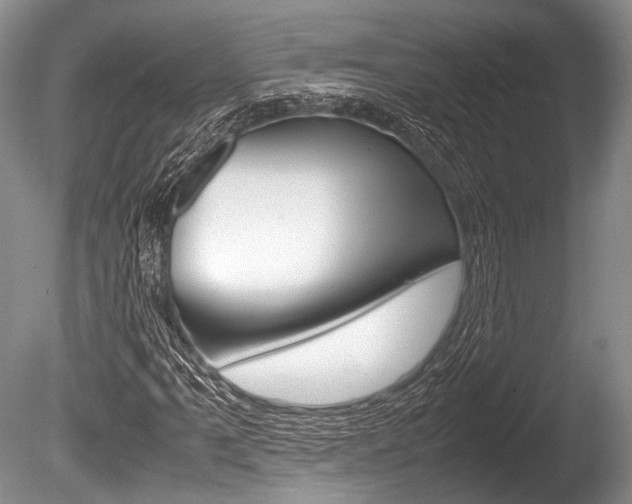 X0000086291061200703300856