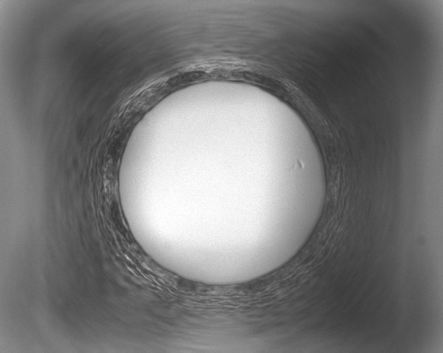 X0000086291063200703300856
