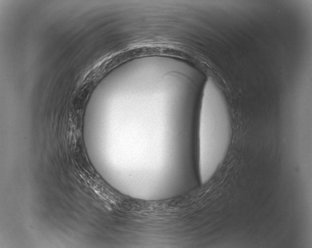 X0000086291064200703300856