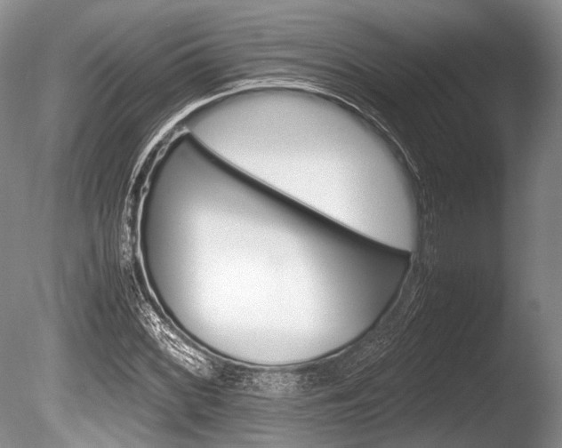 X0000086291068200703300856