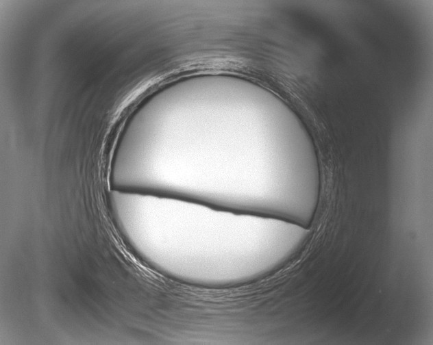 X0000086291071200703300856