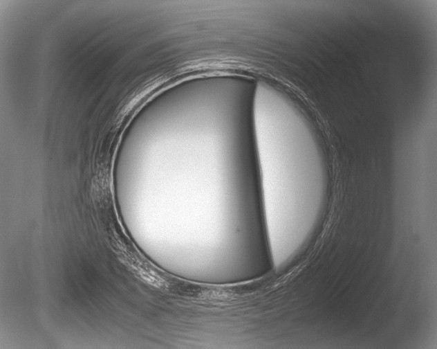 X0000086291073200703300855
