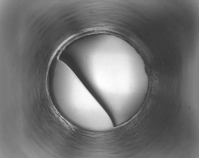X0000086291076200703300855