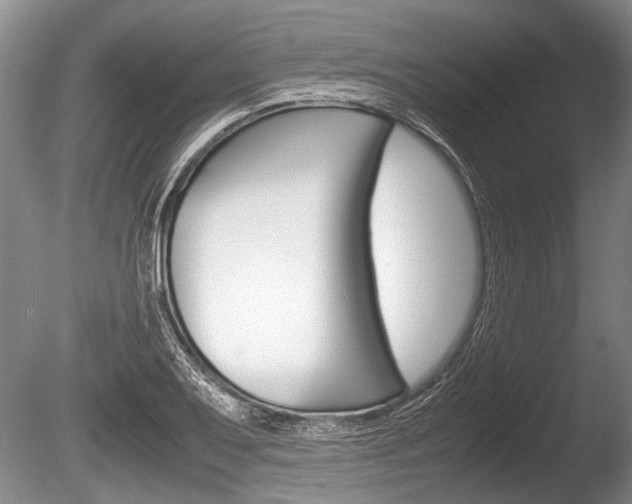 X0000086291079200703300855