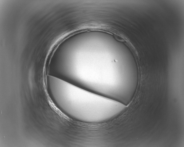 X0000086291080200703300855