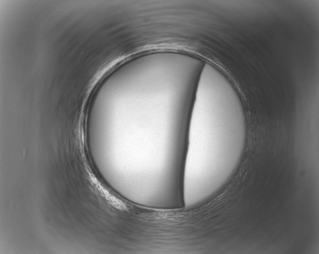 X0000086291084200703300855