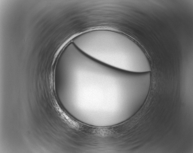 X0000086291092200703300855