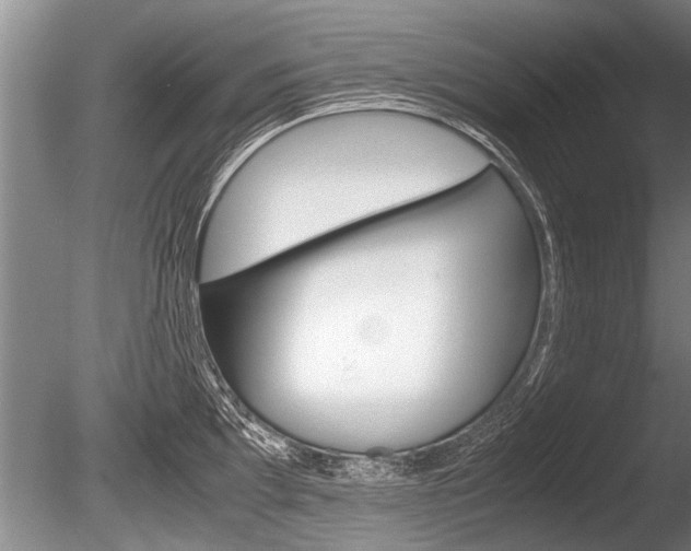X0000086291097200703300855