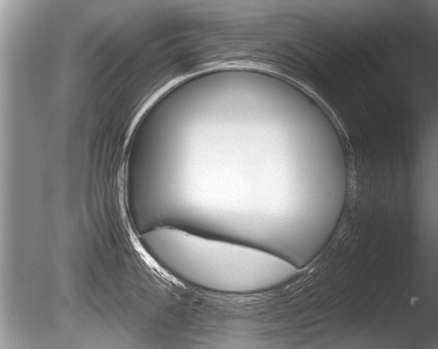 X0000086291100200703300855