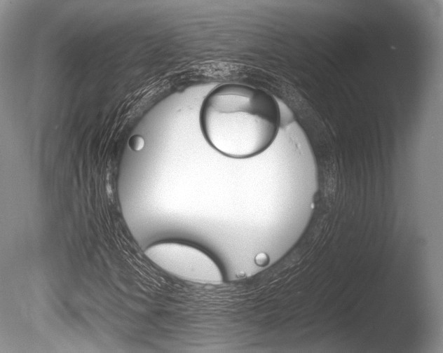 X0000086291106200703300854