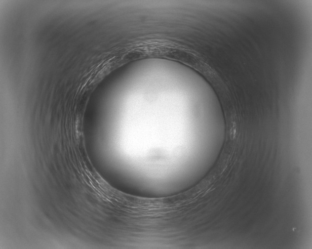 X0000086291108200703300854