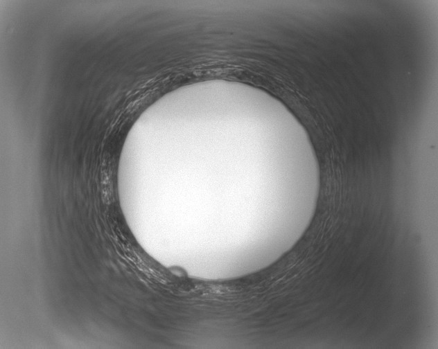 X0000086291109200703300854