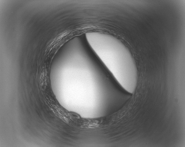 X0000086291111200703300854
