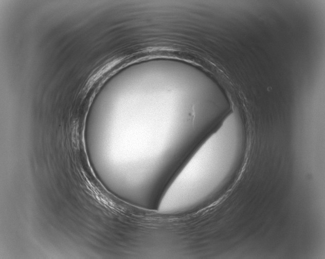 X0000086291113200703300854