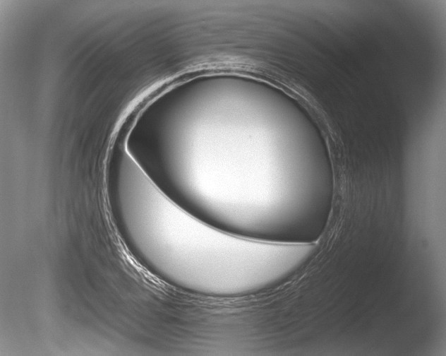 X0000086291120200703300854