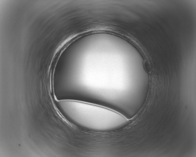 X0000086291127200703300855