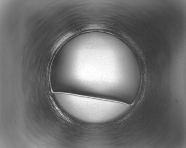 X0000086291129200703300855