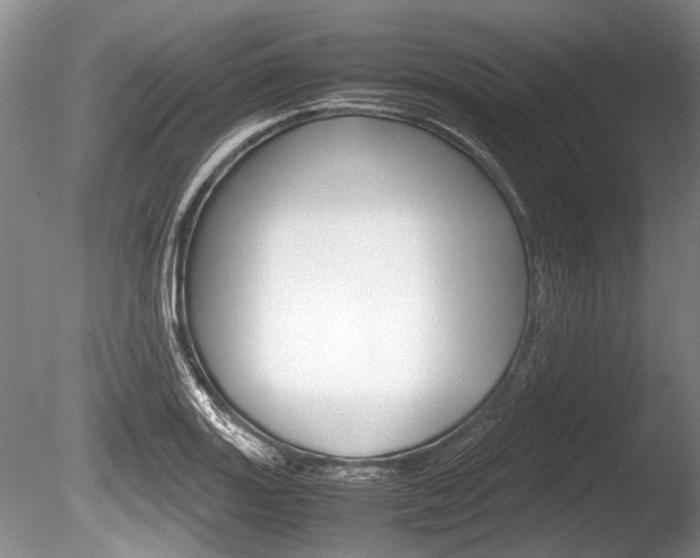 X0000086291131200703300855