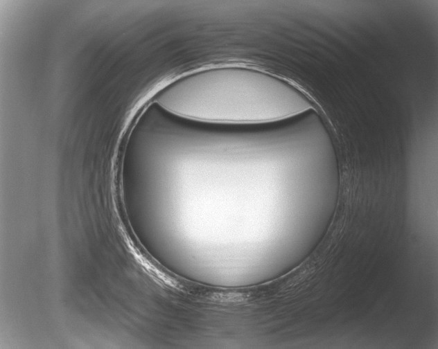 X0000086291135200703300855