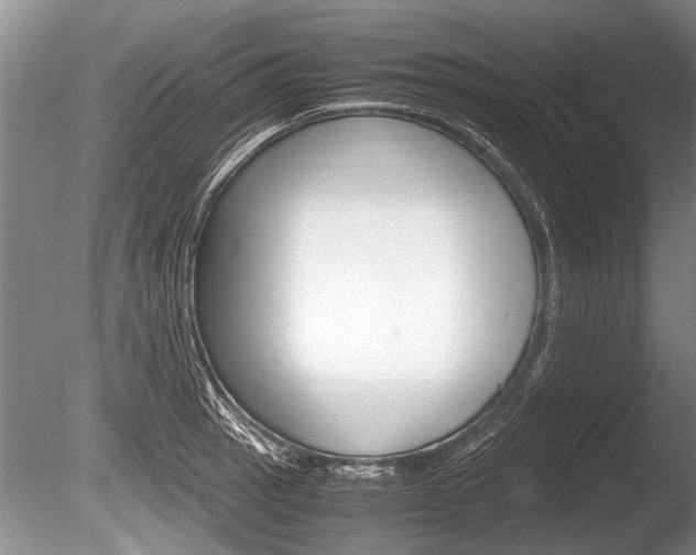 X0000086291137200703300855