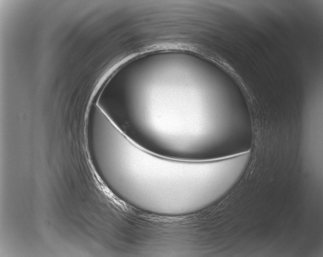 X0000086291140200703300855
