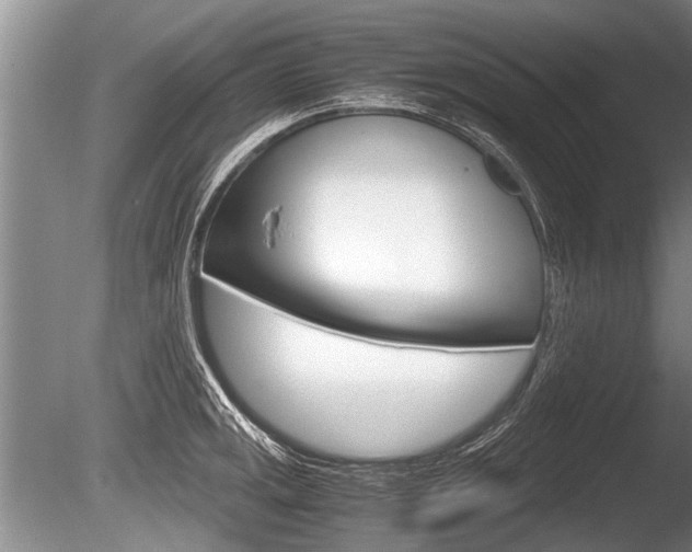 X0000086291141200703300855