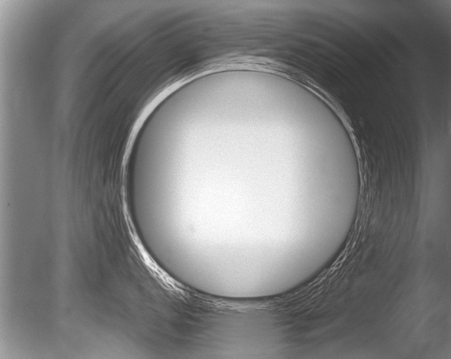 X0000086291152200703300855
