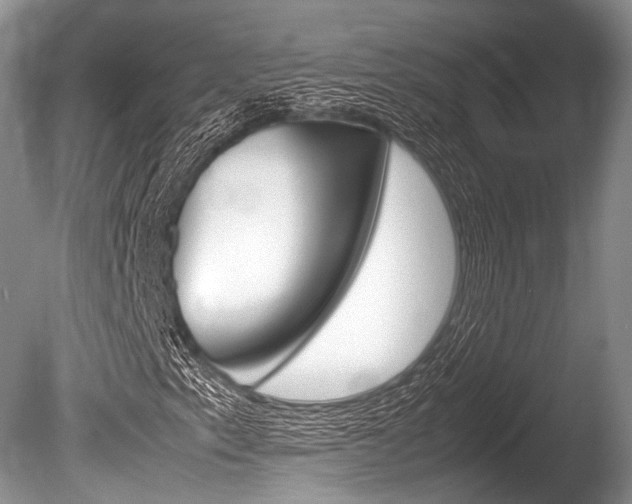 X0000086291153200703300854