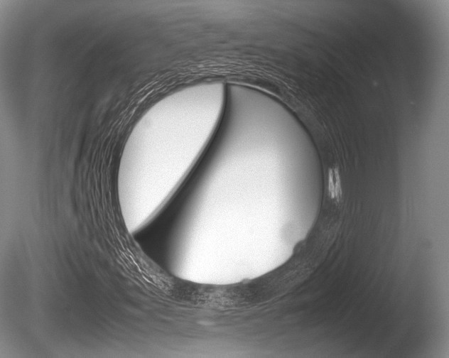 X0000086291155200703300854