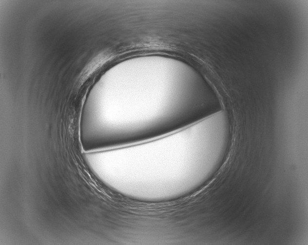 X0000086291163200703300854