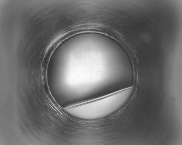 X0000086291164200703300854