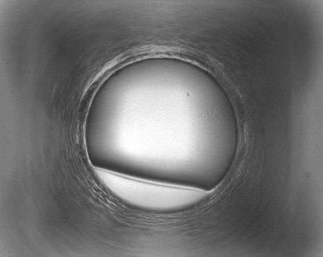 X0000086291165200703300854