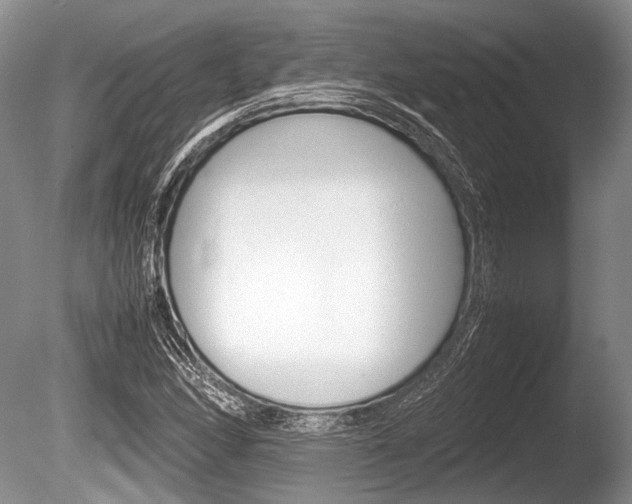 X0000086291166200703300854